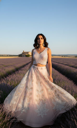 Blush Pink Embroidered Lehenga