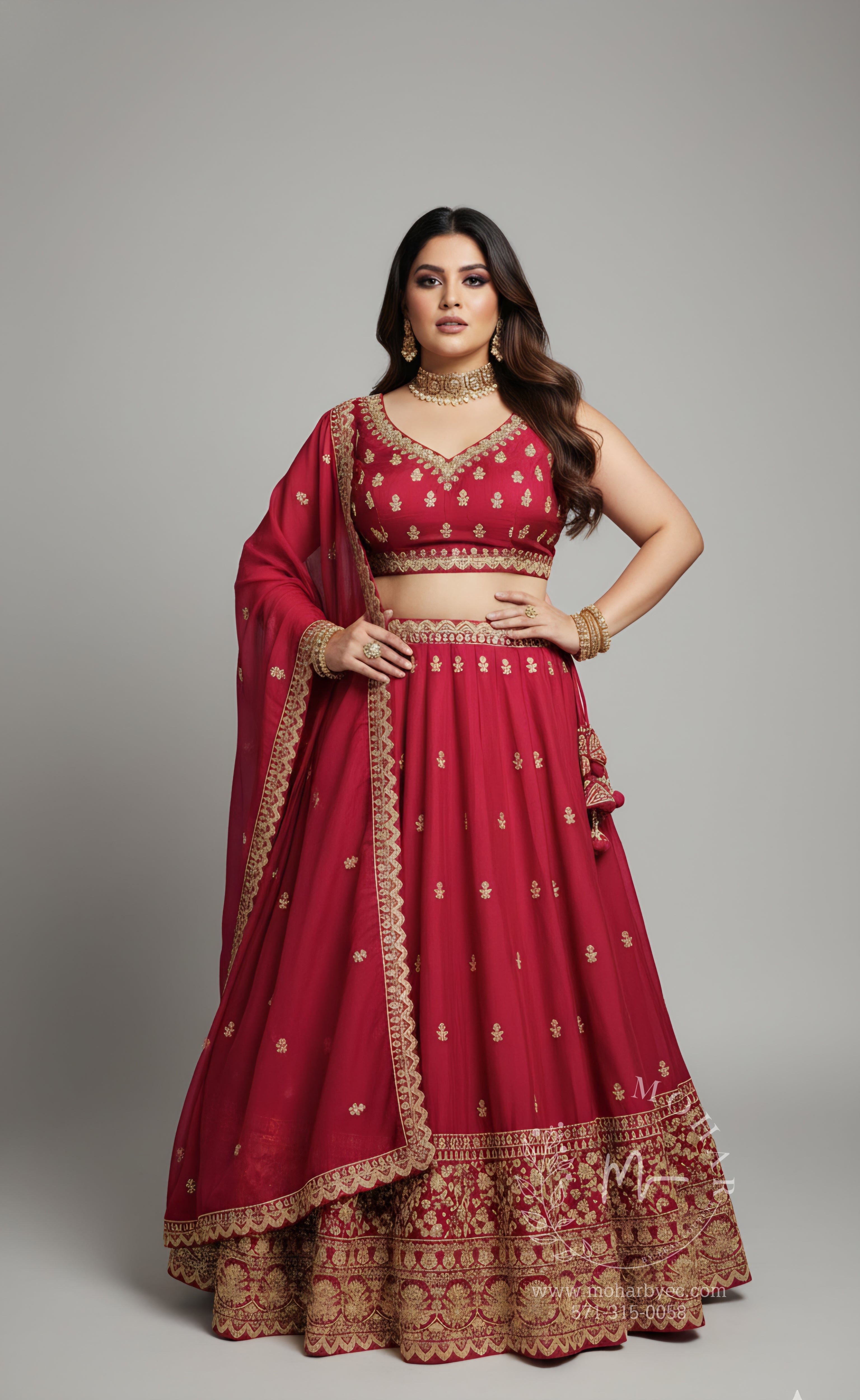 Embroidered Lehenga Choli with Gold Border - Maroon & Navy Blue