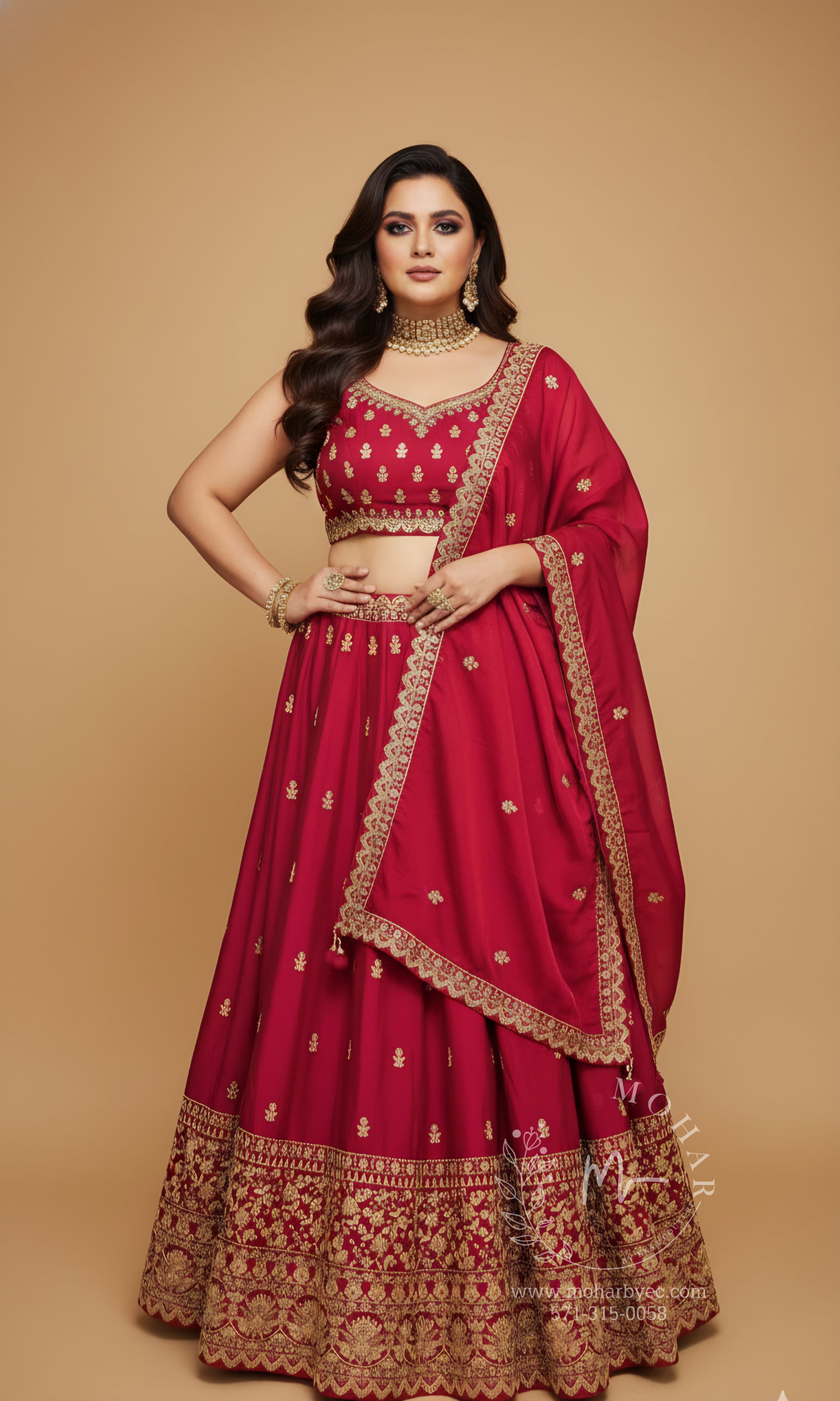 Embroidered Lehenga Choli with Gold Border - Maroon & Navy Blue