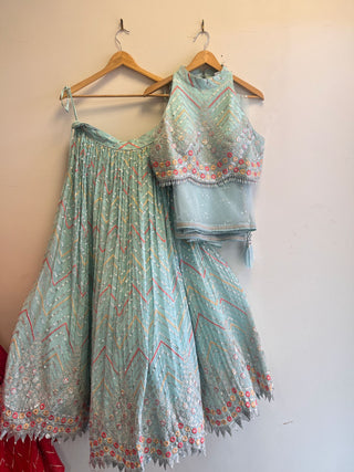 Icy Blue  Embroidered Lehenga Choli Set