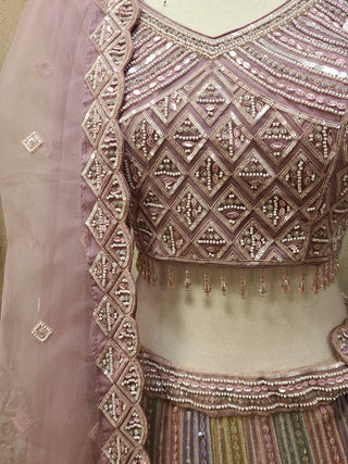 Silver Grey Embroidered Lehenga Set
