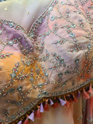 Pastel Peach Blossom Lehenga Choli