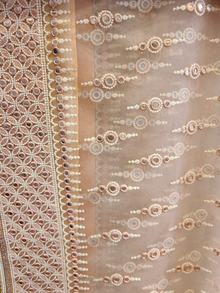 Light Peach tissue organza saree