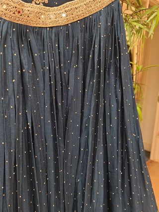 Majestic Navy Blue & Silver Embroidered Lehenga Set