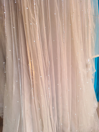 Champagne Embroidered Evening Gown with Silver Detailing