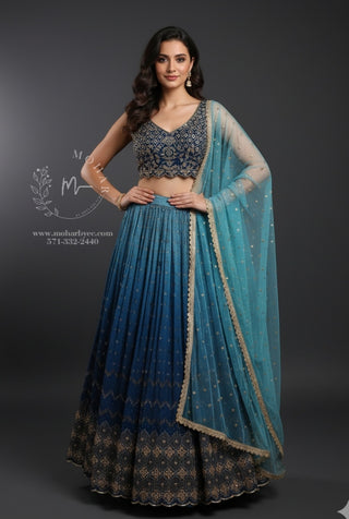 Stunning Navy Blue Embroidered Lehenga Choli Set