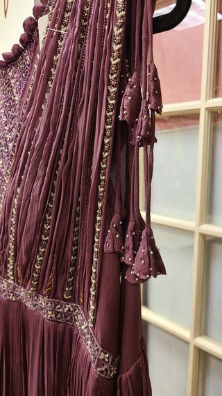 Deep Wine/Plum Shade Gown