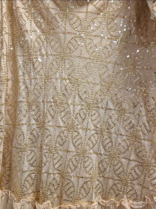 Champagne Gold Embroidered Lehenga Choli Set