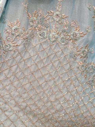 Light Pink Embellished Lehenga Choli