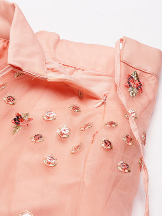 Peach Net Sequin embroidered Lehenga choli