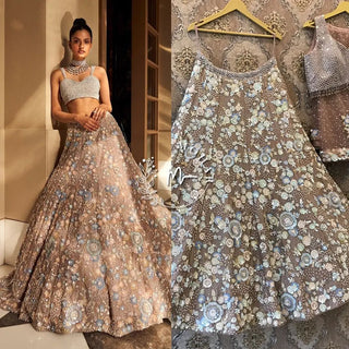 Brown Embroidered Lehenga set