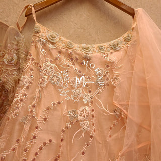 Peach Embroidered Net Lehenga
