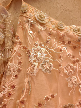 Peach Embroidered Net Lehenga